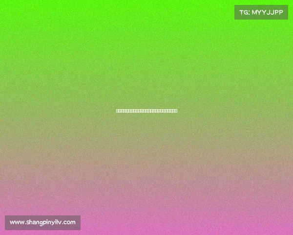 面对四份合同如何选择最适合你的那一份分析与决策技巧